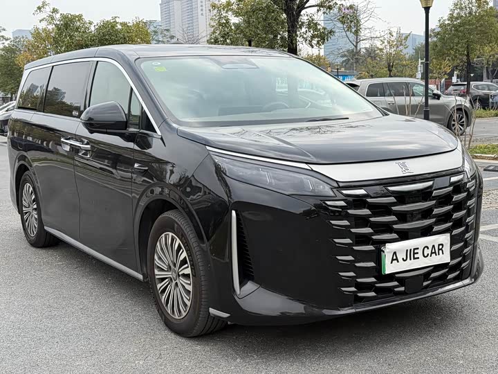 Фото 3 - BYD Xia