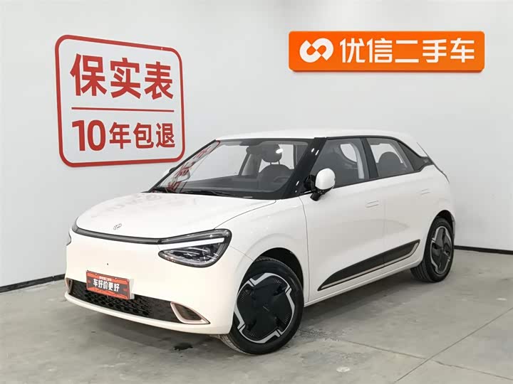 Фото 1 - Dongfeng Nammi 01