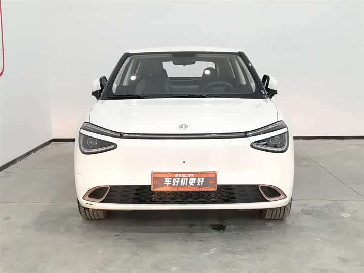 Фото 3 - Dongfeng Nammi 01