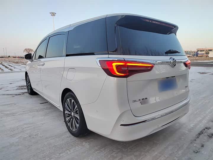 Фото 5 - Buick GL8 ES