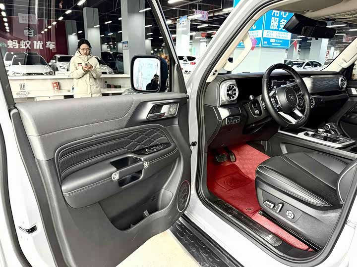 Фото 4 - Tank 300