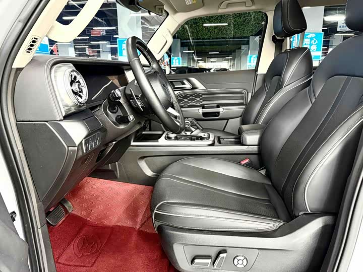 Фото 5 - Tank 300