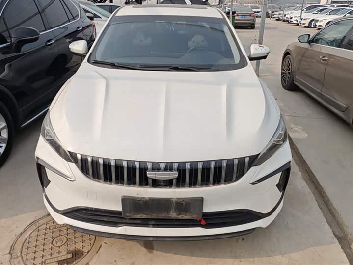 Фото 2 - Geely Binrui