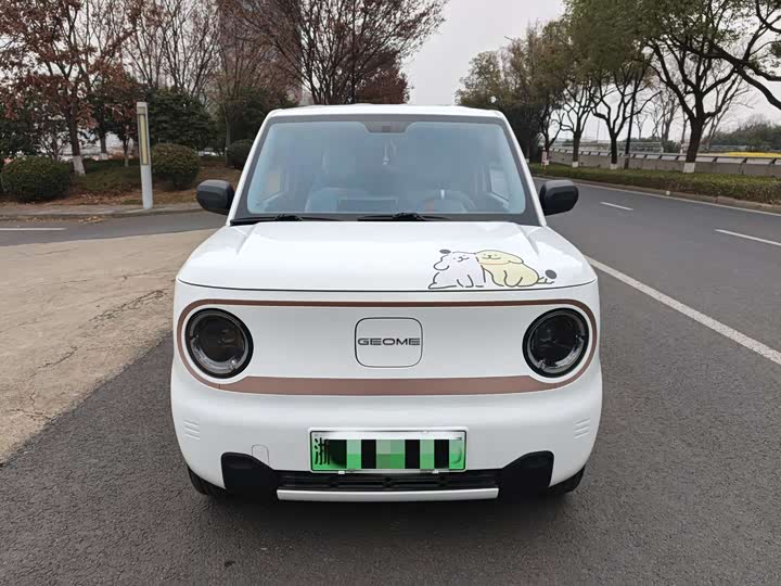 Фото 2 - Geely Galaxy Panda Mini
