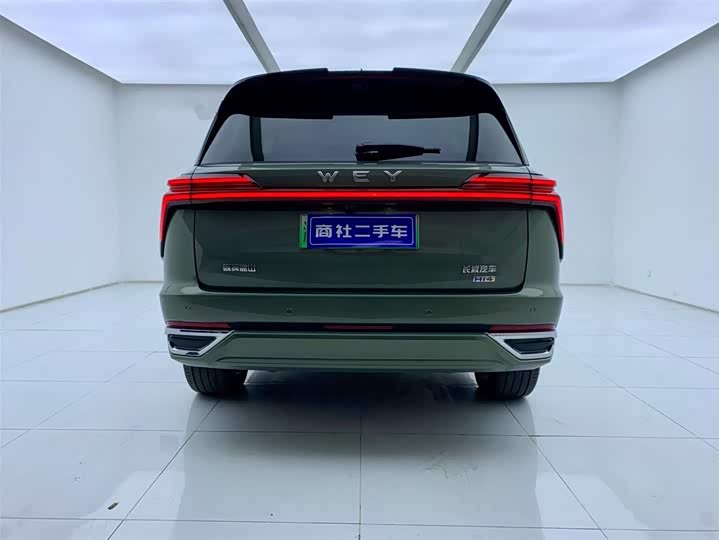 Фото 4 - Wey Lanshan