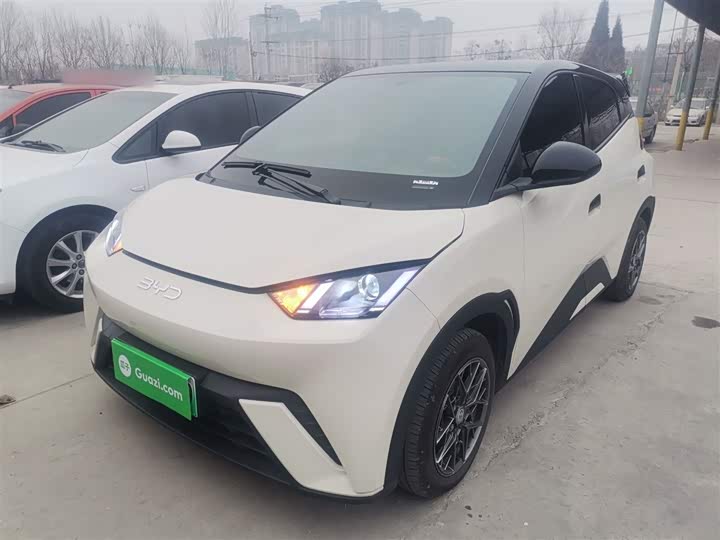 Фото 2 - BYD Seagull