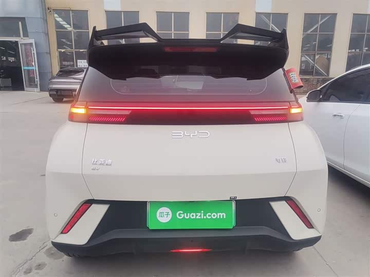 Фото 6 - BYD Seagull