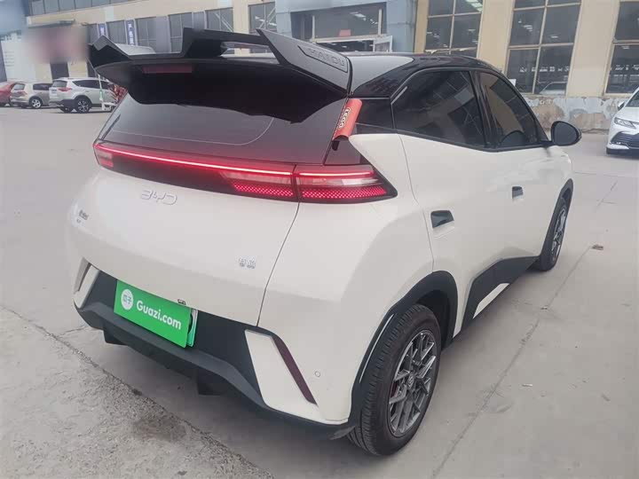 Фото 7 - BYD Seagull