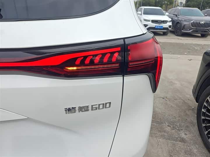 Фото 8 - Dongfeng Forthing Yacht