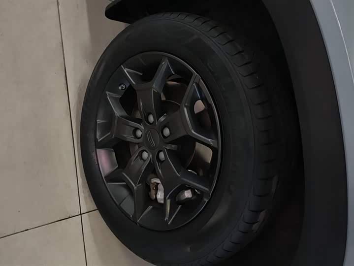 Фото 6 - Geely Icon