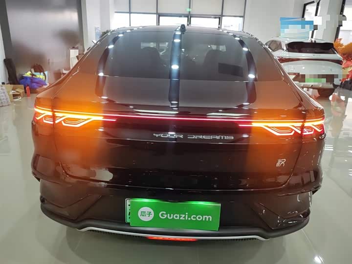 Фото 6 - BYD Han