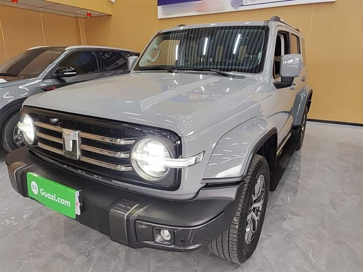 Фото 2 - Tank 300