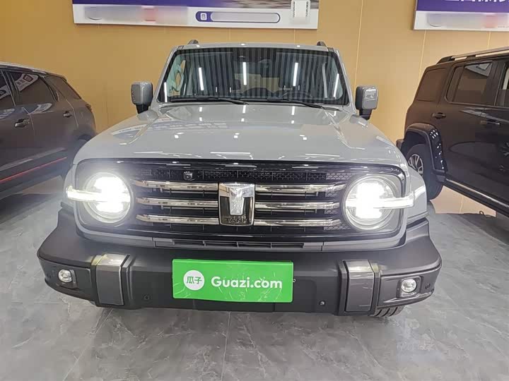 Фото 3 - Tank 300