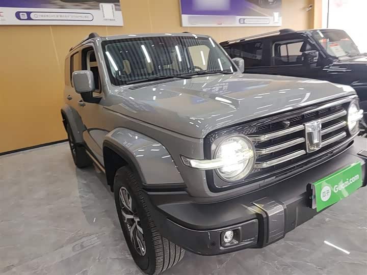 Фото 4 - Tank 300