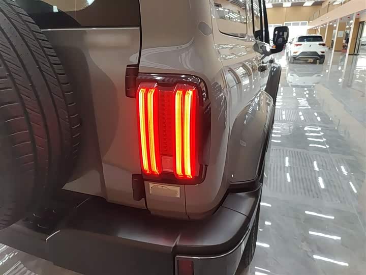 Фото 8 - Tank 300