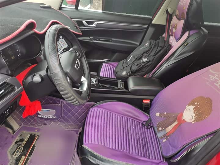 Фото 8 - Geely Emgrand GS