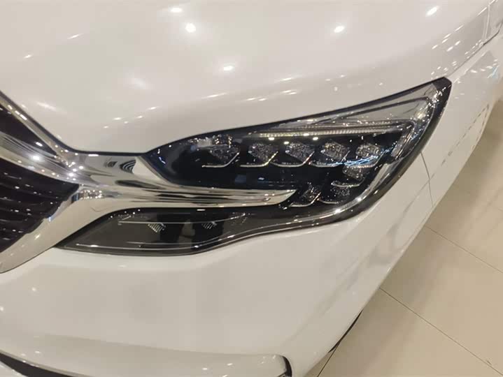 Фото 5 - Buick GL8 ES