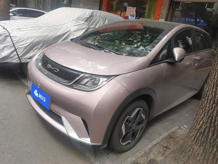 Фото 1 - BYD Dolphin