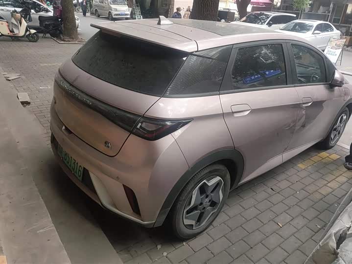 Фото 3 - BYD Dolphin