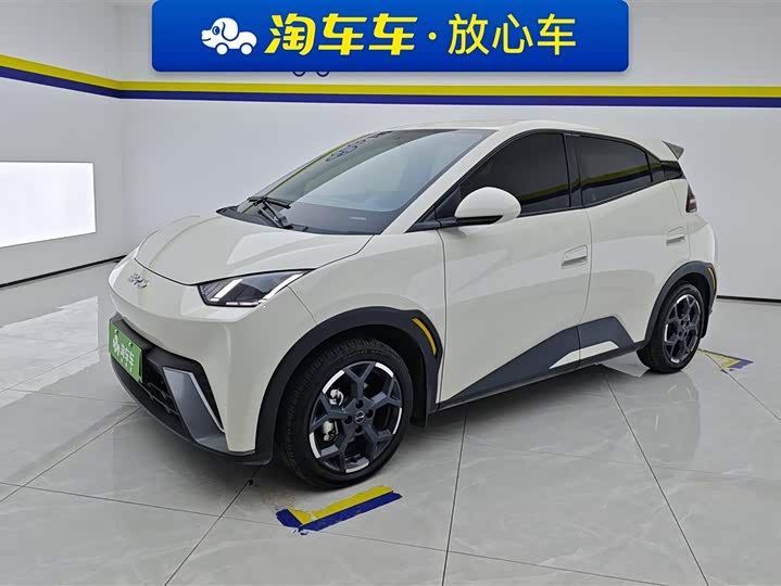 Фото 1 - BYD Seagull