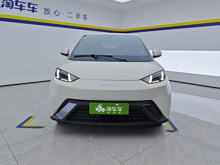 Фото 2 - BYD Seagull