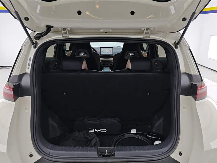 Фото 4 - BYD Seagull