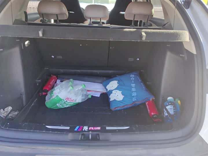 Фото 4 - BYD Yuan Plus