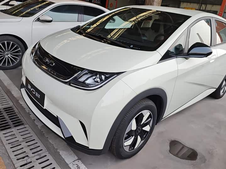 Фото 1 - BYD Dolphin