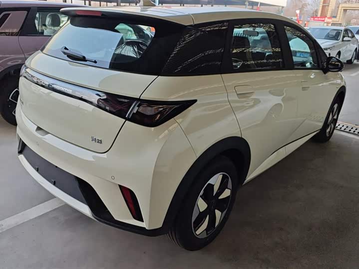 Фото 3 - BYD Dolphin