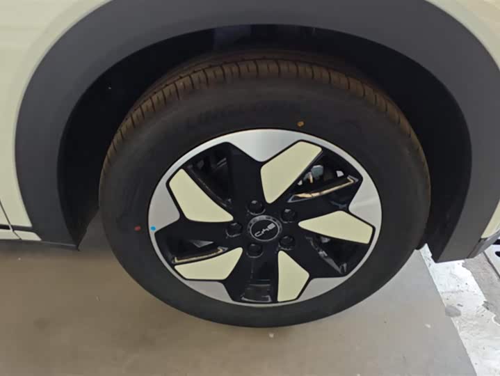 Фото 6 - BYD Dolphin