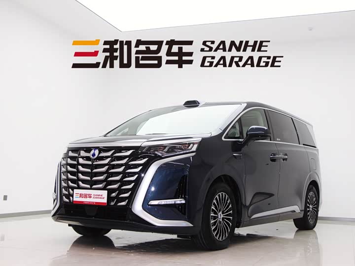 Фото 1 - Denza D9