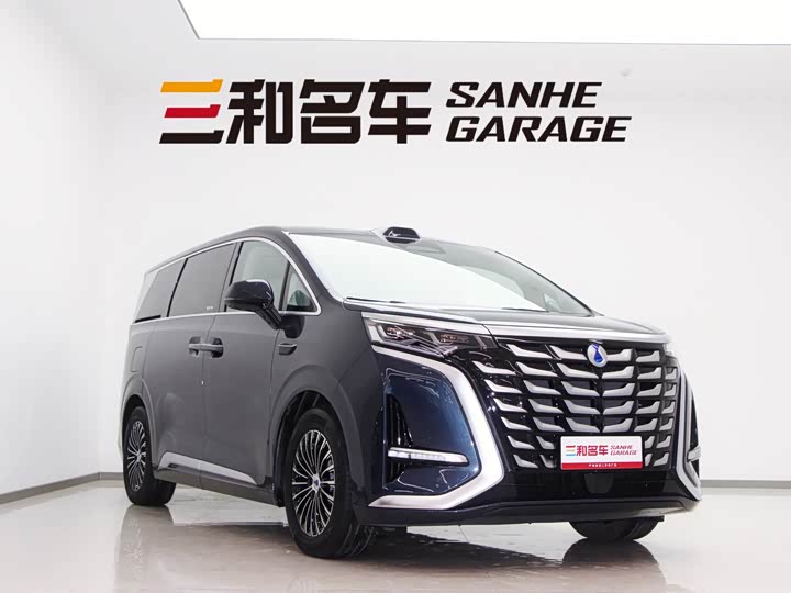 Фото 3 - Denza D9