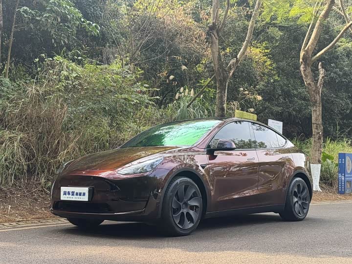 Фото 1 - Tesla Model Y