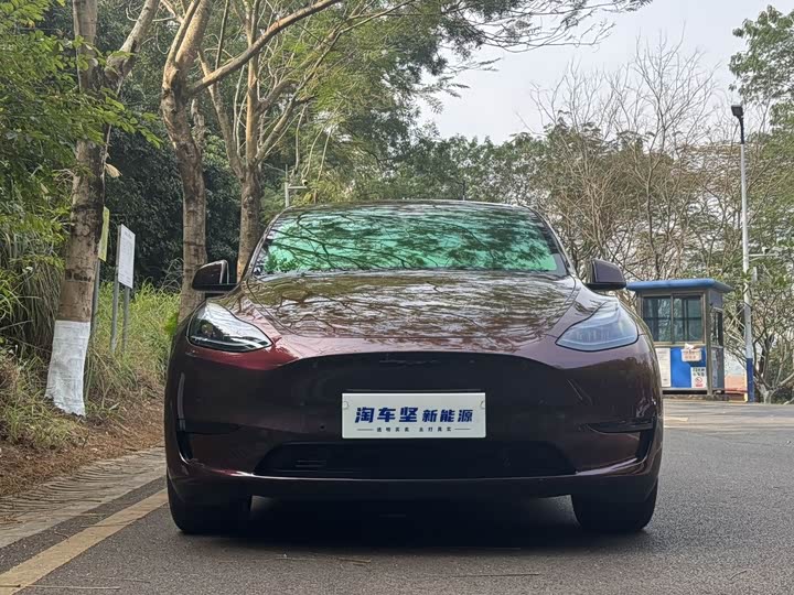 Фото 2 - Tesla Model Y
