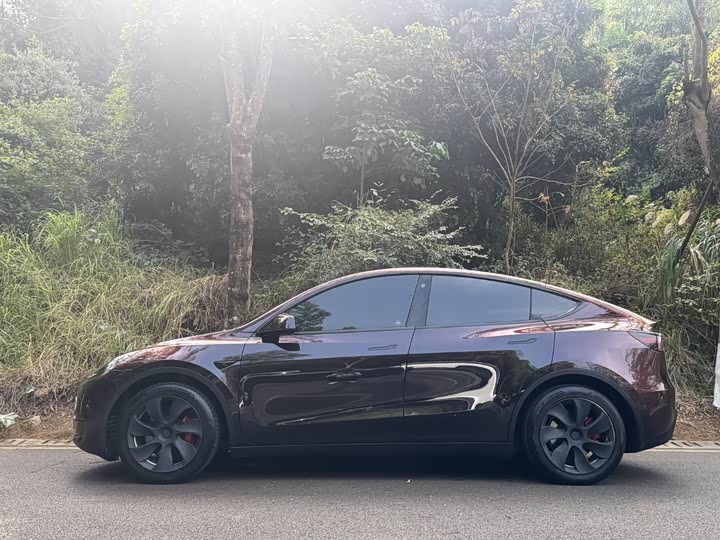 Фото 3 - Tesla Model Y