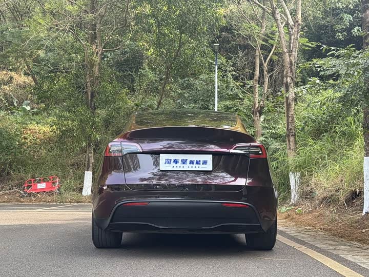 Фото 5 - Tesla Model Y