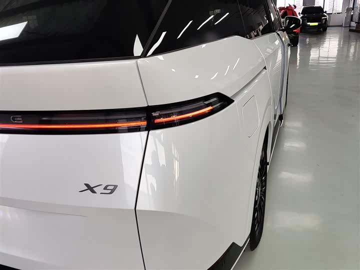 Фото 8 - XPeng X9