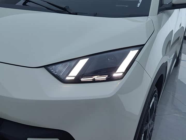 Фото 5 - BYD Seagull