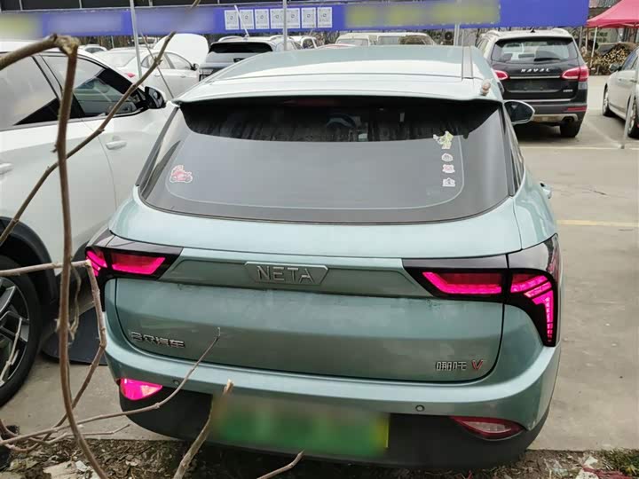 Фото 6 - Hozon V