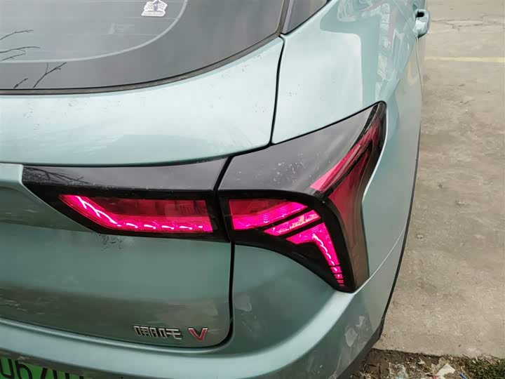 Фото 8 - Hozon V