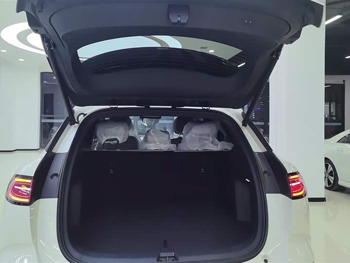 Фото 4 - BYD Sea Lion 06 Hybrid/EV