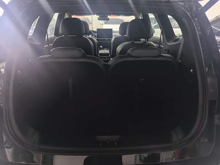 Фото 4 - Geely Okavango L