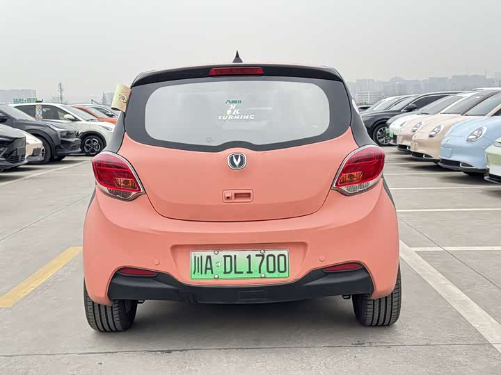 Фото 4 - Changan BenBen E-Star