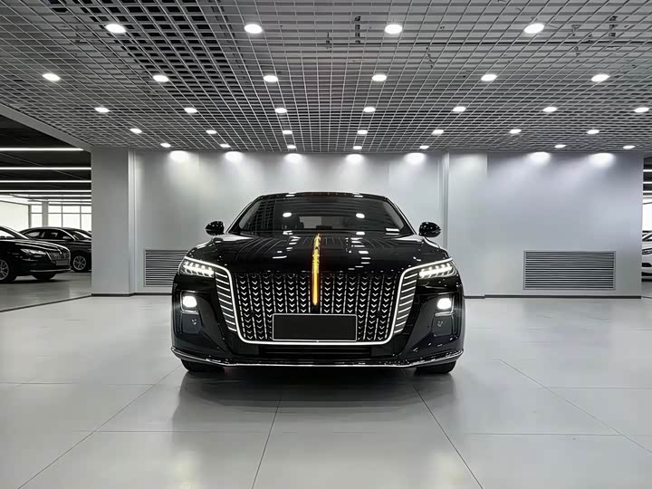 Фото 2 - Hongqi H5