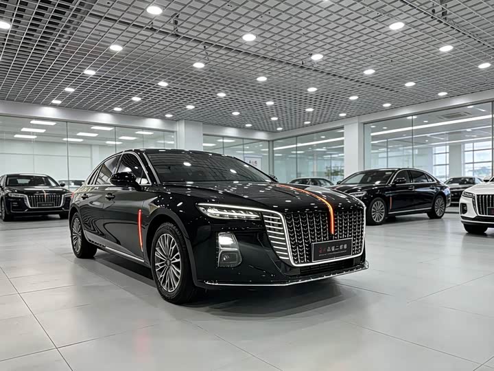 Фото 3 - Hongqi H5