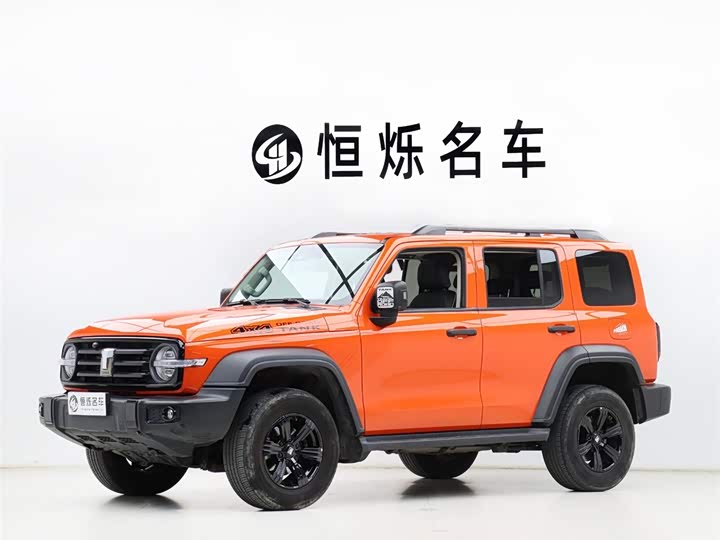 Фото 1 - Tank 300