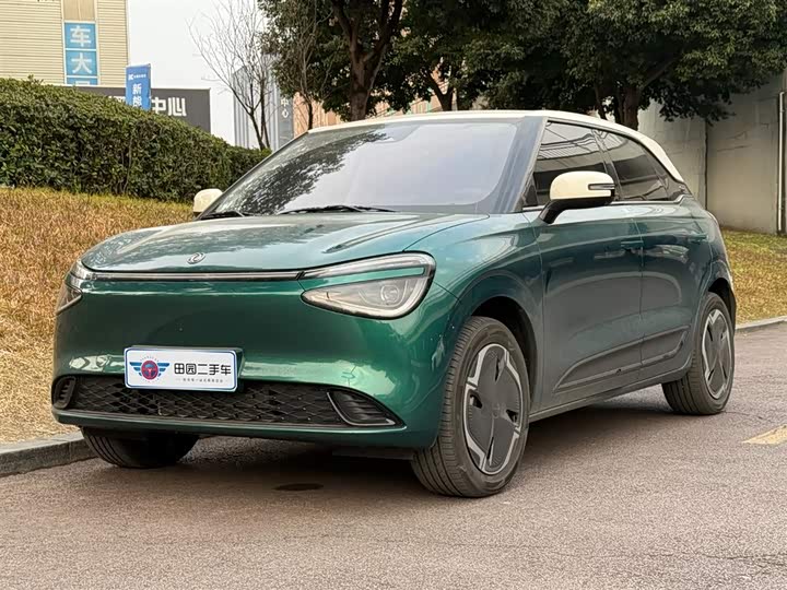 Фото 1 - Dongfeng Nammi 01