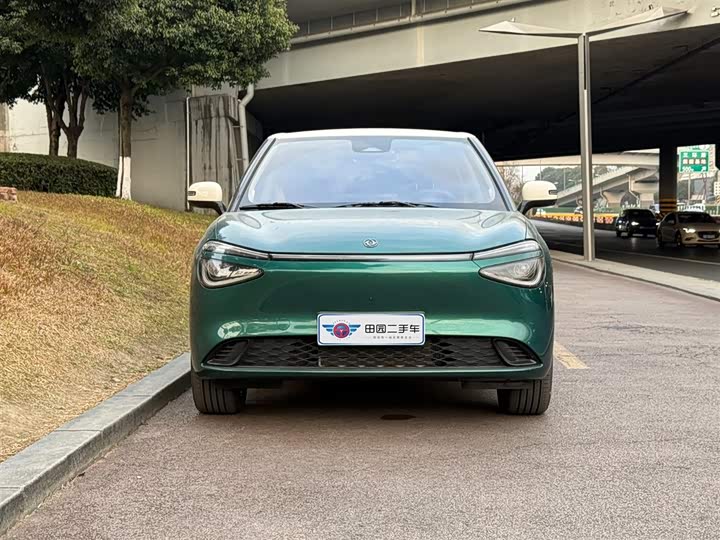 Фото 2 - Dongfeng Nammi 01