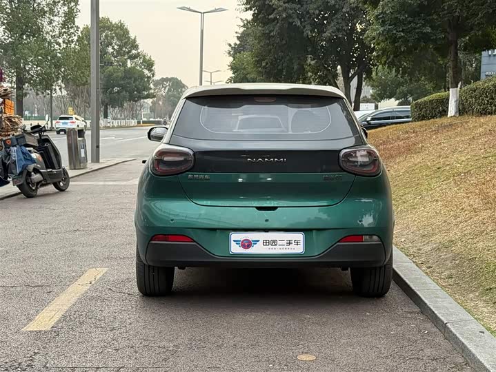 Фото 5 - Dongfeng Nammi 01