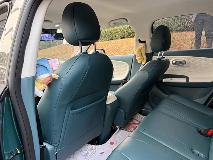 Фото 9 - Dongfeng Nammi 01